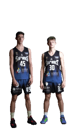 LagunaSharks giphyupload sport romania slam Sticker