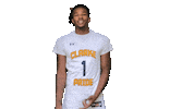 Sport Heart Sticker by Clarke University