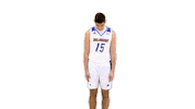 Basketball Juggling Sticker by Delaware Blue Hens