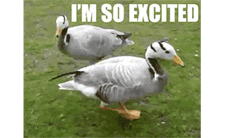 happy i'm so excited GIF