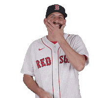 Red Sox Baseball Sticker by Boston Red Sox