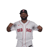 Red Sox Baseball Sticker by Boston Red Sox