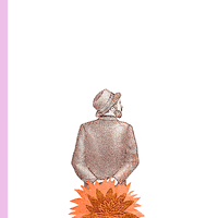 angyrecorta  GIF