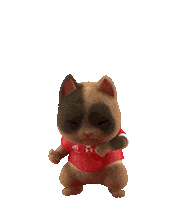 Cat Wow Sticker by beIN SPORTS APAC