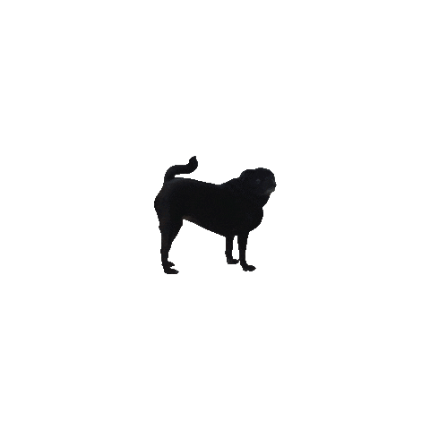 JasonKauz pug pepe pepethepug Sticker