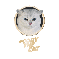 Licking Cat Food Sticker by Sheba Official