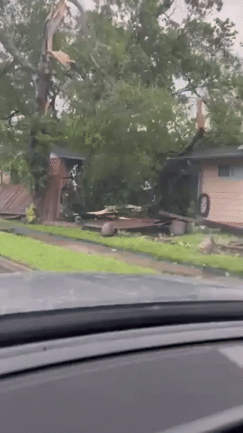 Large Trees Uprooted in Deadly Houston Storms