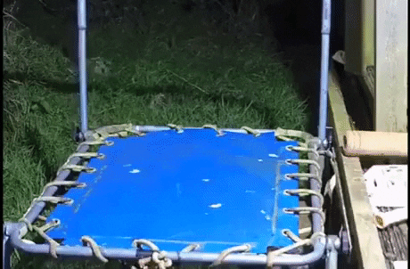 GifVif giphyupload GIF