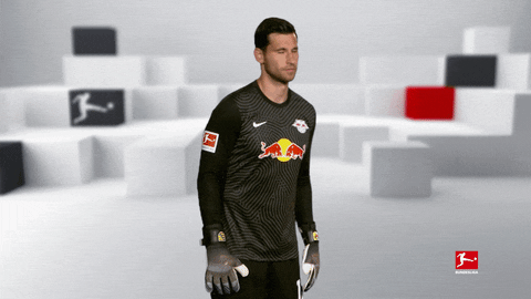 Posing Line Up GIF by Bundesliga