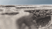 thefractalist psychedelic scifi fractals GIF