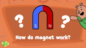 Magnet for kids | Magnetic field | Science for kids | Educational Video #PantsBear