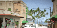 hawaii GIF