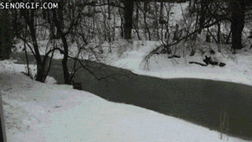fail too close for comfort GIF by Cheezburger