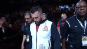 ufc 213 GIF