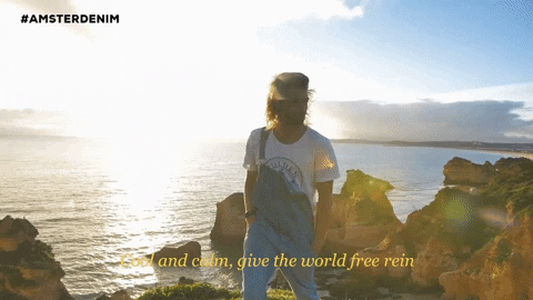 Sunset Freedom GIF by Amsterdenim