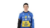 Handball Spain Sticker by EHF