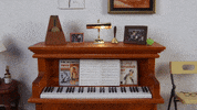 Adult Swim Piano GIF by Mighty Oak