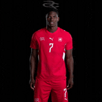 Fifa World Cup Switzerland GIF by Respective