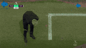 Manchester United Pain GIF by MolaTV
