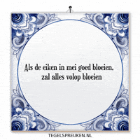 Humor Hoop GIF by Tegelspreuken.nl