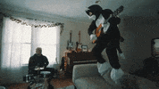 Cat Song GIF by Anthony Green