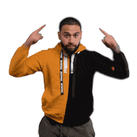 P4L Sticker by Emile Machado