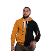 P4L Sticker by Emile Machado