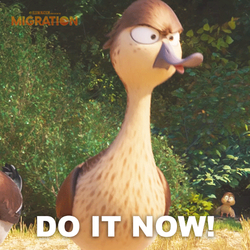 MigrationMovie giphyupload angry duck marriage GIF