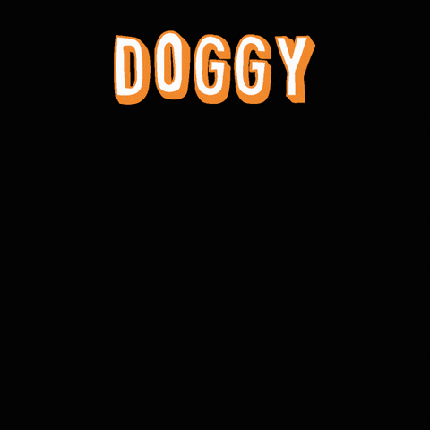 lucysdoggydaycaresatx dog doggo doggy pup GIF
