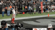 National Football League GIF by NFL