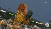 National Football League GIF by NFL