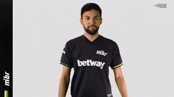 Brasil GIF by MIBR