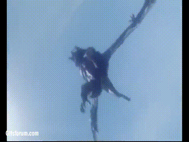 king ghidorah GIF