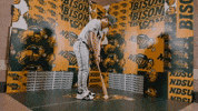 Baseball Bison GIF by NDSU Athletics