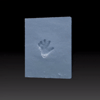 Game Augment GIF by Aleksey Efremov