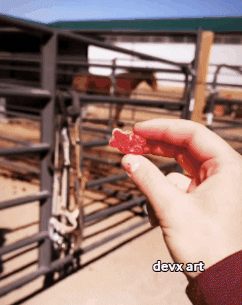 Chewing Gum Horse GIF by DevX Art