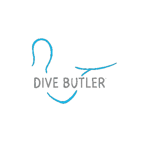 Logo Dive Sticker