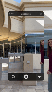 GIF by Zoodealio