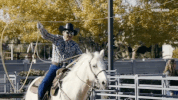 wrangler GIF by Dead Set on Life