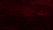 Goes Afas Stadion GIF by AZ Alkmaar