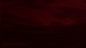 Afas Stadion Goal GIF by AZ Alkmaar
