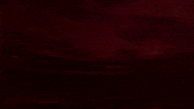 Afas Stadion Goal GIF by AZ Alkmaar