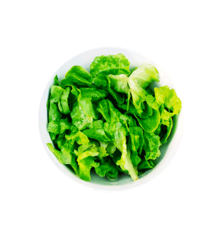 Vegan Salad Sticker