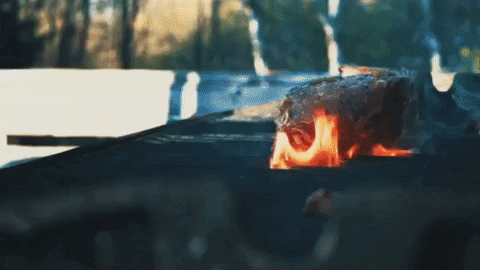 IMTC giphygifmaker cooking GIF