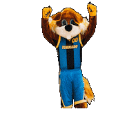 TornadoBS basketball tornado kaunas tornadokm Sticker