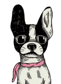 cakecakecake french terrier Sticker by cake
