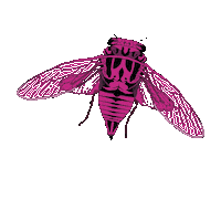 Pink Rosa Sticker