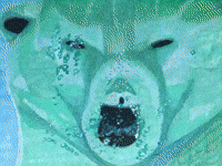 Breathe Out Polar Bear GIF by The LSD Hotel