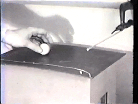 giphygifmaker pigeon pomba ping-pong GIF
