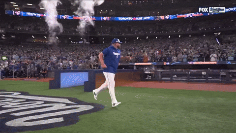 Blue Jays Sport GIF by MLB